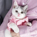 Soft Pet Cat Clothes Cotton Kitten Outfit Winter Clothing For Small Cats Costume Warm Cat Clothes Winter Pet Clothing.