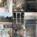 Pet cage bottom iron mesh, bird cage net, quail net, pigeon net, household rabbit cage, galvanized wire mesh parrot. 