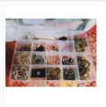 Plastic Organizer Dividers jewelery Box 1pcs. 