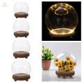 Glass Display Micro Landscape DIY Decorative Clear Dome for Photos Medals Decoration Home 10cm. 