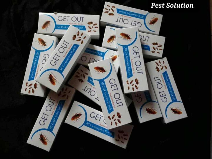 Get%20Out%20Cockroach%20Killing%20Gel%20-%2015gm%20-%20Image%202