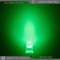100 Pcs - DC 5mm Green LED Light Round Transparent (Bright) 100 Pcs Pack. Indicator LED, Lighting, DIY or General Purpose LED.. 