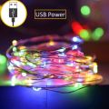 Led Fairy Lights Copper String Light Holiday Festoon Lamp For Home/ Indoor/ Bedroom/ Wedding Decoration. 