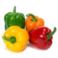 Capsicum Seeds ) - 10 pieces.