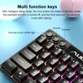 AULA F3061 Wired Mini RGB Backlit Mechanical Keyboard. 