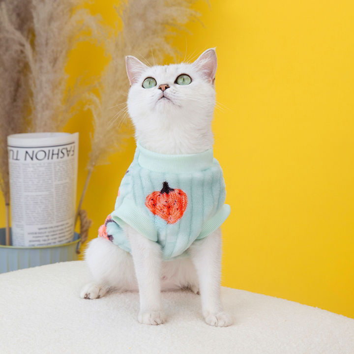 Cat & dog cloth all season, Sustainable fleece Woolen Polyester fabric ...