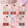 YOUNG VISION Multifunctional Makeup Stick for Lazy People High gloss Makeup, Rouge Matte Blush Stick, 6 Colors Available.