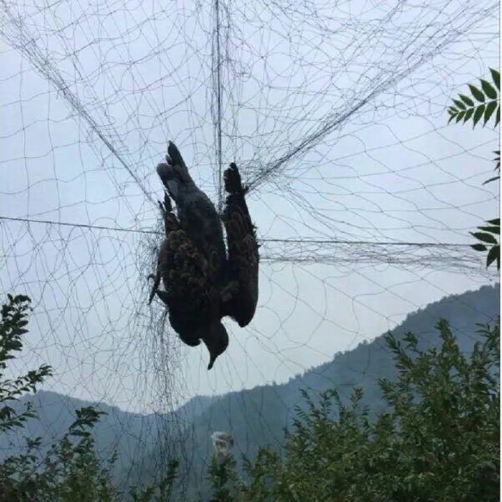 Useful%20Black%20Mesh%20Anti%20Bird%20Mist%20Nets%20Vegetable%20Garden%20Orchard%20And%20Garden%20Protect%20Nylon%20Netting%20Bird%20Hunting%20Net%20Garden%20Tools%EF%BC%883MX15M%EF%BC%89%20-%20Image%203