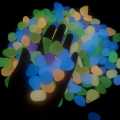 25_Pieces Radium Stone Colorful Luminous Glowing Pebbles. 