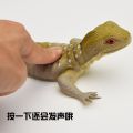 Soft Rubber Reptile Model Toys, Simulation Lizards, Squeaking and Vocal Lizards, Animal Tricky Vent Toys Squishy. 