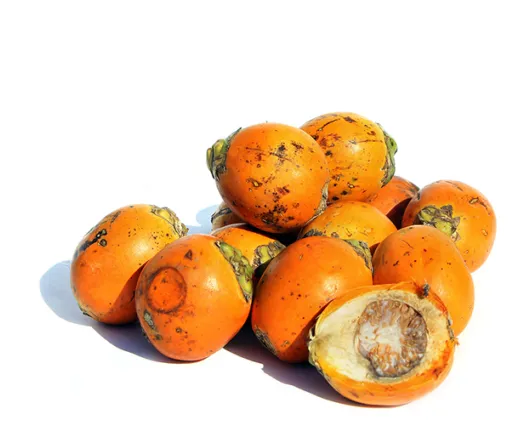 Areca%20nut%20Supari%201%20kg%20-%20Image%203