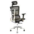 Complete Multifunction Chair (FT-HC03) Lava Gray. 