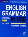 English Grammar In Use - book. 