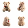 25cm Kawaii Bear With Rose Plush Toy Stuffed Animal Dolls I Love You For Girl Friend Birthday Gift Romantic Present Wholesale.