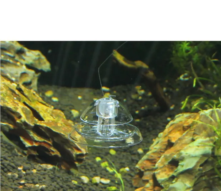 Pond%20Hydroponic%20Plants%20Aquatic%20Supplies%20Pest%20Catch%20Box%20Planarian%20Catcher%20Cleaning%20Tool%20Aquarium%20Snail%20Trap%20-%20Image%204