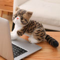 26cm Stuffed Lifelike Cats Plush Toy Simulation American Shorthair Cute Cat Doll Pet Toys Home Decor Gift For Girls Birthday. 