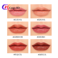 HengFang Matte Lipstick 6 Pcs Set. 