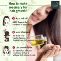 Rosemary Dried Leaves For Hair Growth & Rosemary Leaf Tea -50g. 