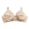 4 Pieces Combo Pack Net Bra for Women. 