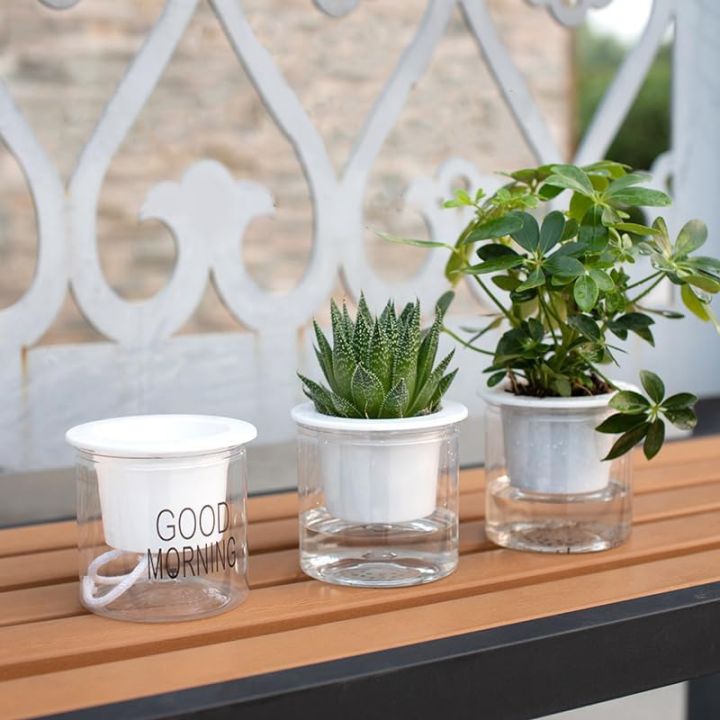 Transparent%20flower%20pots%20automatically%20absorb%20water%20round%20plastic%20hydroponic%20potware%20creative%20succulent%20plant%20pots%201%20PCS%20-%20Image%204