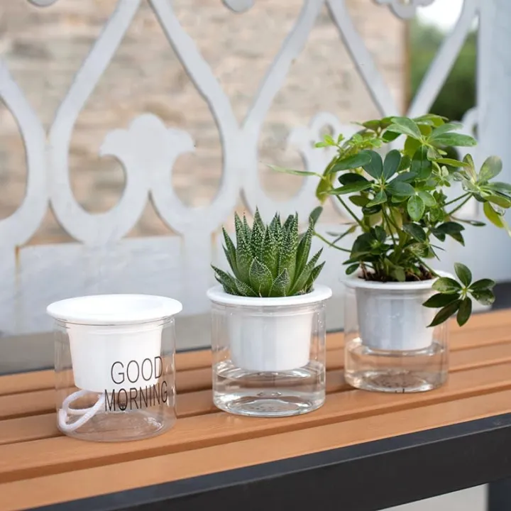 Transparent%20flower%20pots%20automatically%20absorb%20water%20round%20plastic%20hydroponic%20potware%20creative%20succulent%20plant%20pots%201%20PCS%20-%20Image%203