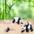 panda Model 4 Stages of Panda Playset Science Educational Toys Animal Growth Cycle Models. 