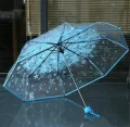 Cherry Blossom Transparent Folding Umbrella.
