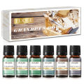 EUQEE 6pcs/set Fragrance Oil Gift Kit For Diffuser Coffee Bakery Harvest Spice Pumpkin Pie Forest Pine Sweet Fruit Aroma Oils. 