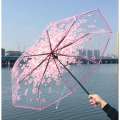 Cherry Blossom Transparent Folding Umbrella.