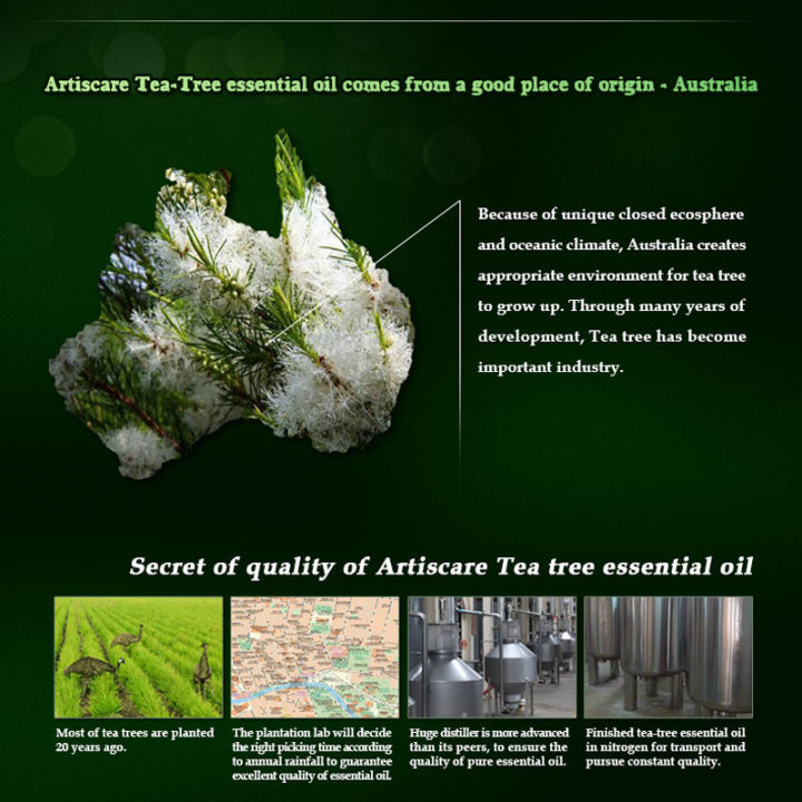 ARTISCARE%20100%25%20Pure%20tea%20tree%20essential%20oil%20face%20tea%20tree%20oil%20-%20Image%204
