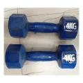 4 KG BLUE DUMBLE 2 PIS. 
