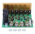 DX-2.1 Channel Amplifier Board AC18~24V 100W+100W.