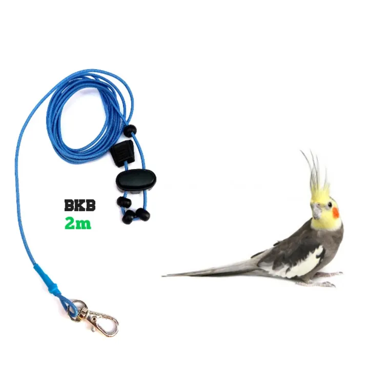 2m%20Elastic%20Hernes%20Rope%20with%20Anklet%20foot%20Ring%20-%205.5mm%20(full%20Set%20combo%20pack)%20-%20Image%202