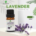 Vishmanni Essential oil combo 6 flavor (10 ml each). 