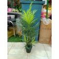 Artificial Plant - Home Decoration Item - Home Decoration Item - Home Decoration Item (FREE DELIVERY).