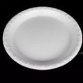 20 pcs Disposable Plastic Plate 9.5 inch One Time Use Plat Ideal for Outdoor birthday party Wedding anniversary.