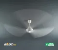 INNOEL GC-3 BLDC Ceiling Fan | Energy Efficient Fan with LED Light | 5 Year Warranty | Free Delivery.