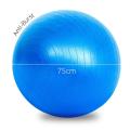 Gym Ball 75 cm. 