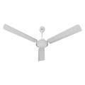 Walton 56" ceiling fan. 