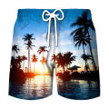 Coconut Tree Graphic Surfing Board Shorts Pants Men 3D Print Tropics Sea Island Beach Shorts Hawaii Swimsuit Ice Shorts Swimwear.