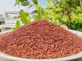 Talmakhna Powder - Talmakhna gura- 100 gm.