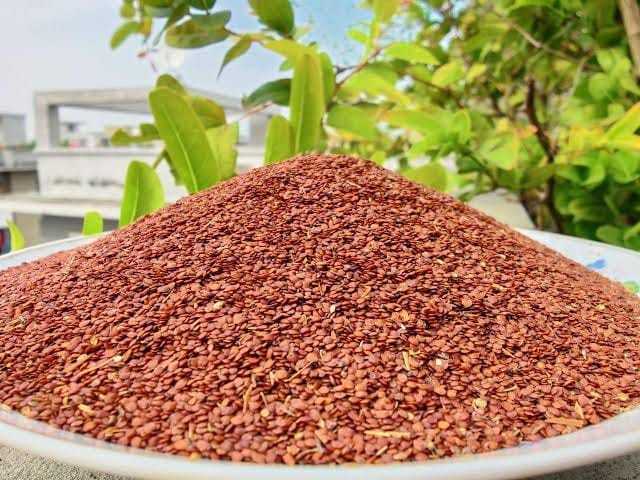 Talmakhna%20Powder%20-%20Talmakhna%20gura-%20100%20gm%20-%20Image%203