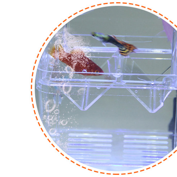 Qiunery%203%20Sizes%20Double-layer%20Clear%20Fish%20Breeding%20Isolation%20Box%20Aquarium%20Fish%20Tank%20Hatching%20Incubator%20Fish%20House%20-%20Image%207