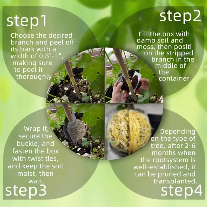 Air%20Layering%20Propagation%20Kit%201%20Set%20-%20Image%202