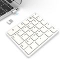 Wireless Numeric Keypad 26-key portable 2.4 GHz Numeric Keypad for Finance and Accounting for Windows. 