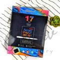 Giorgione Artist Paint Brush Set of 17. 