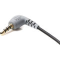 BOYA BY-CIP2 3.5mm TRS Female to TRRS Male Microphone Adapter Cable for Smartphones (2.4"). 