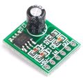 USB 5V Mini Mono Power Amplifier Board 8871 Mono Power Amplifier Module -green. 