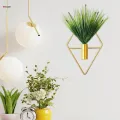 Hanging Vase Boho Wall Decor Wall Planter for Bedroom Study Room Hallway. 