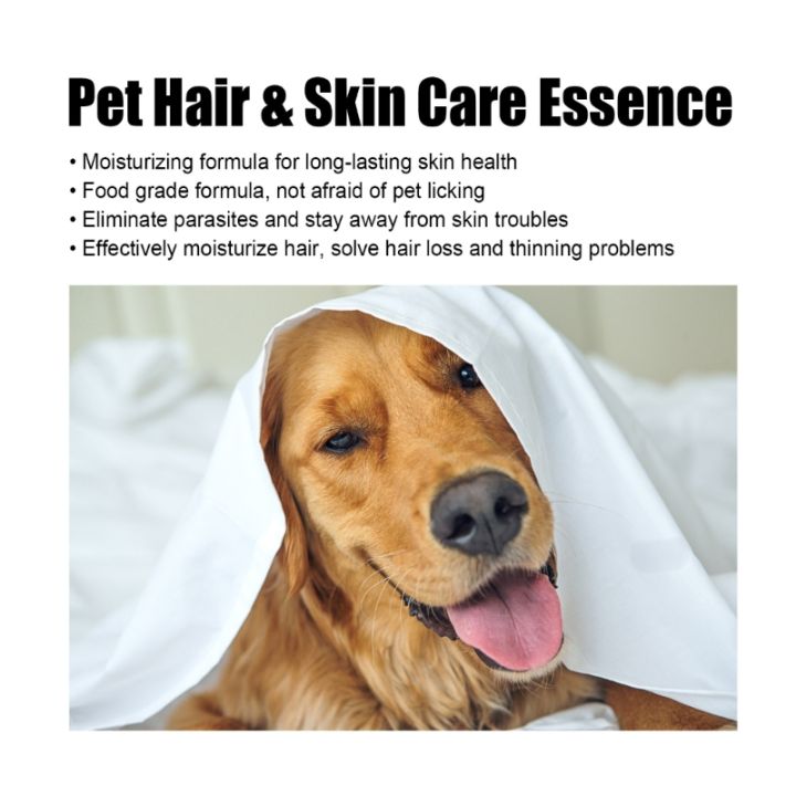 Pet%20Skin%20Repair%20Essence%20Pet%20Skin%20Care%20Pet%20Hair%20Serum%20Dog%20Hair%20Care%20Skin%20Care%20Dog%20Hair%20Serum%20Cat%20Hair%20Care%20Dog%20Skin%20Care%20B03e%20-%20Image%202